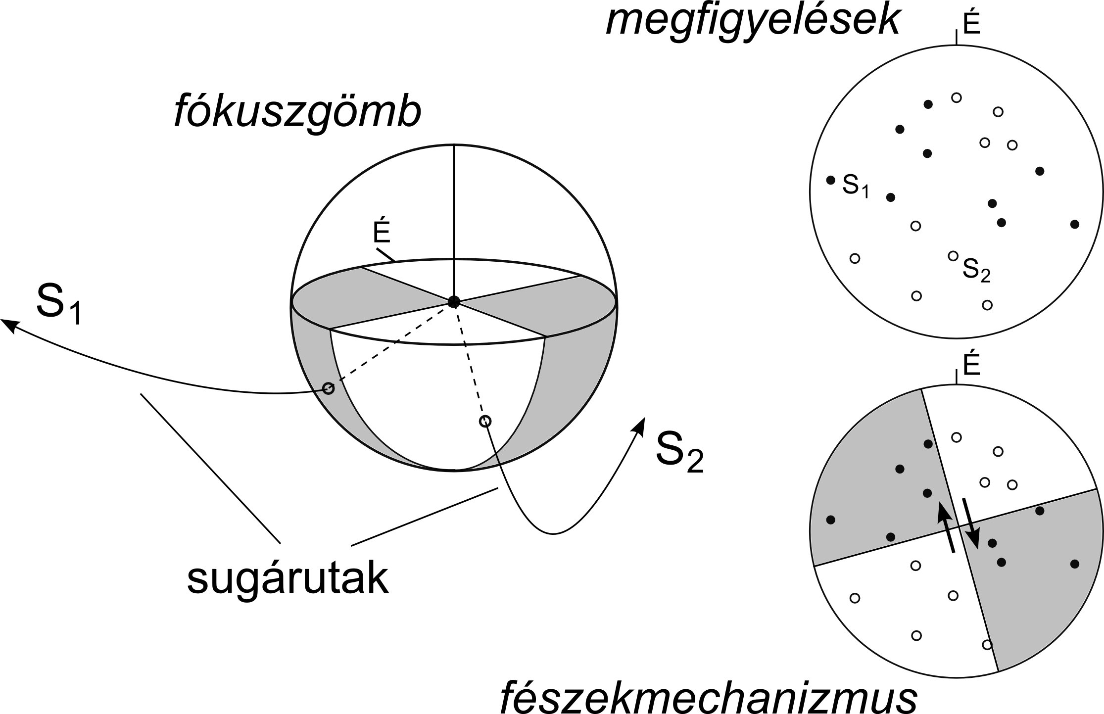 Fészekmechanizmus meghatározása P-hullám polaritások alapján
